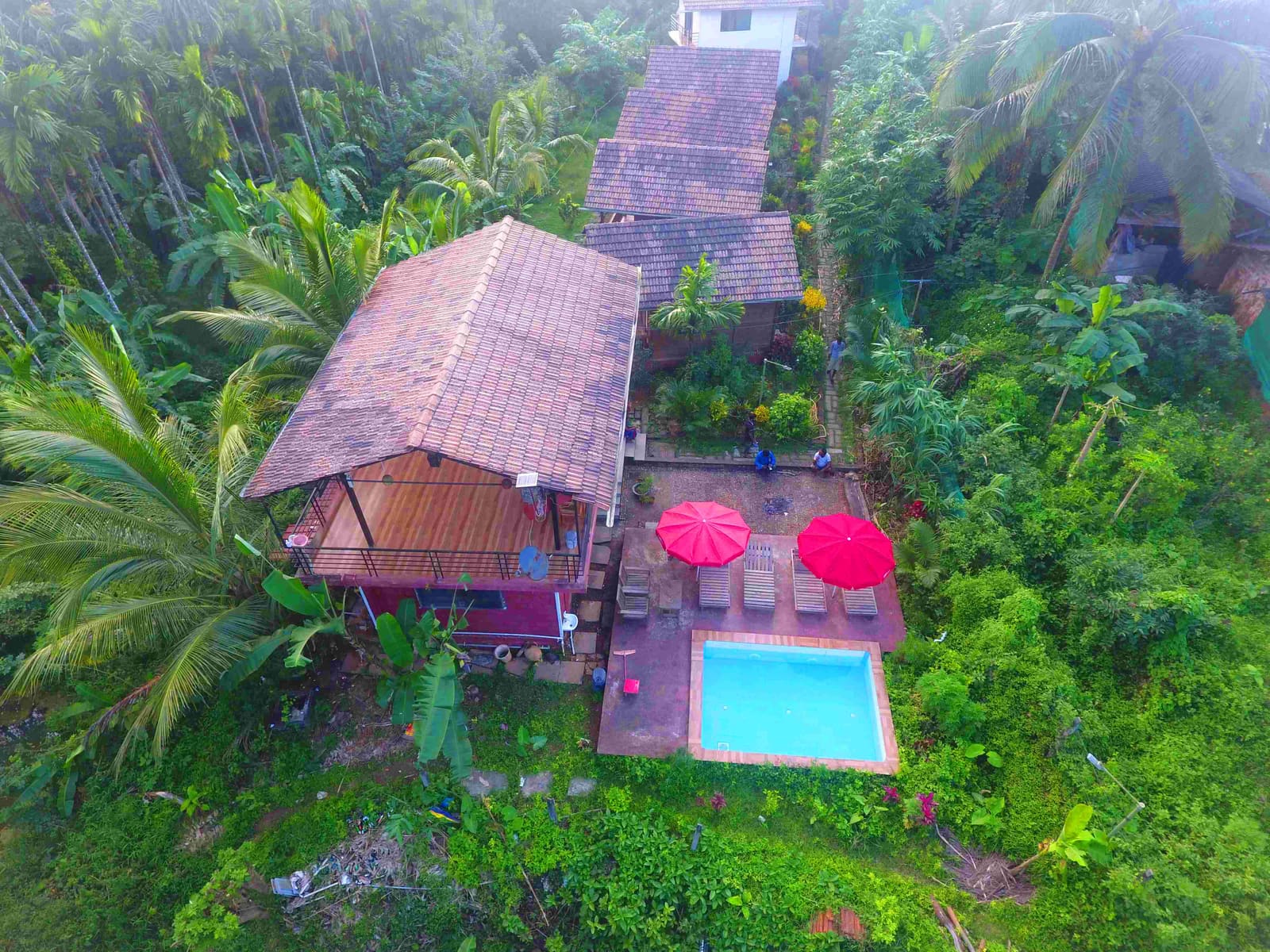 Aerial view of the cottages, pool and red umbrellas in the forest