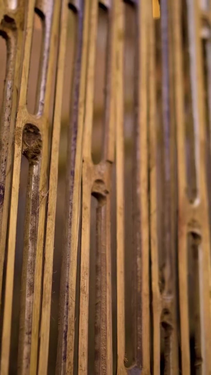 Bamboo poles used through the build