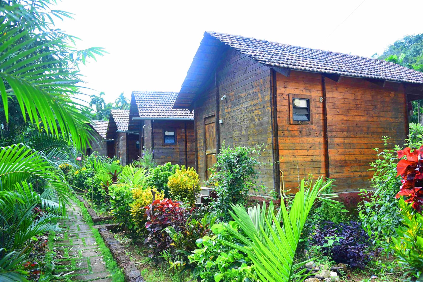 A wooden cottage with a tiled roof, surrounded by a flowering garden