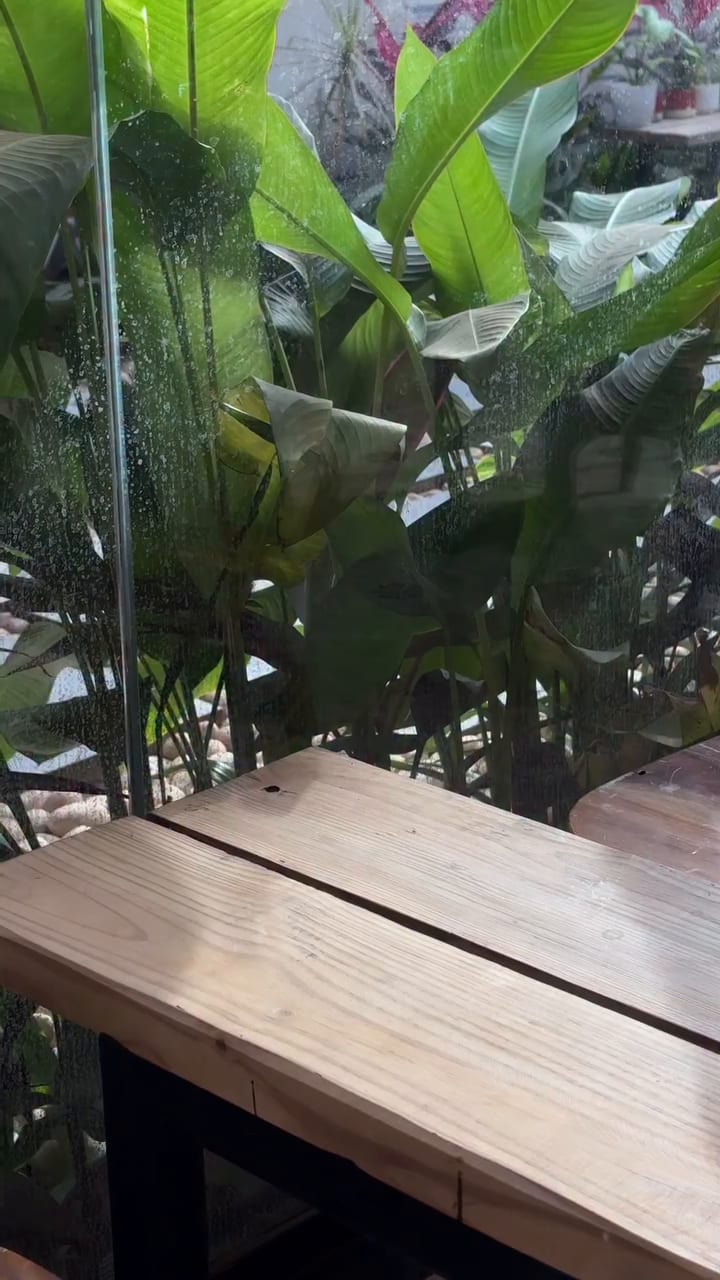 Under the leaves at Fable