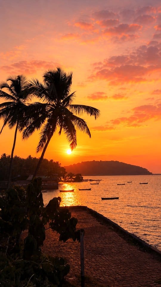 Palm trees silhouetted against the sun setting over the sea at Siolim