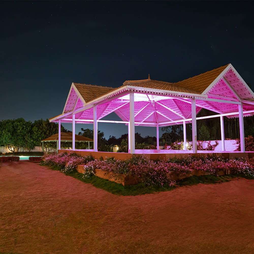 The Lavender Luv gazebo lit purple at night