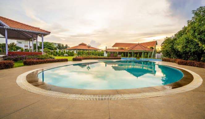 The Mango Bar pool at sunset