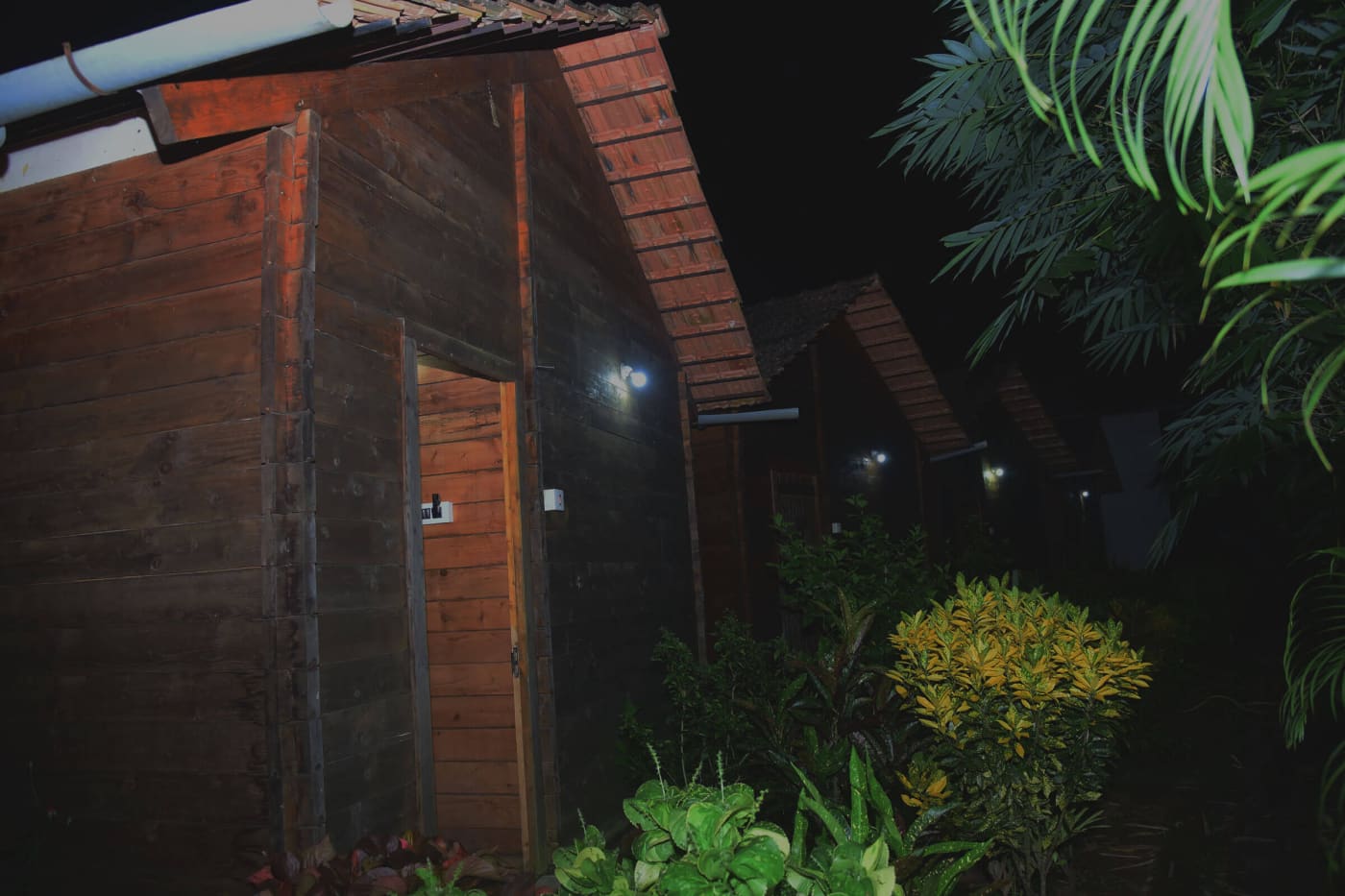 A wooden cottage lit up in the dark forest