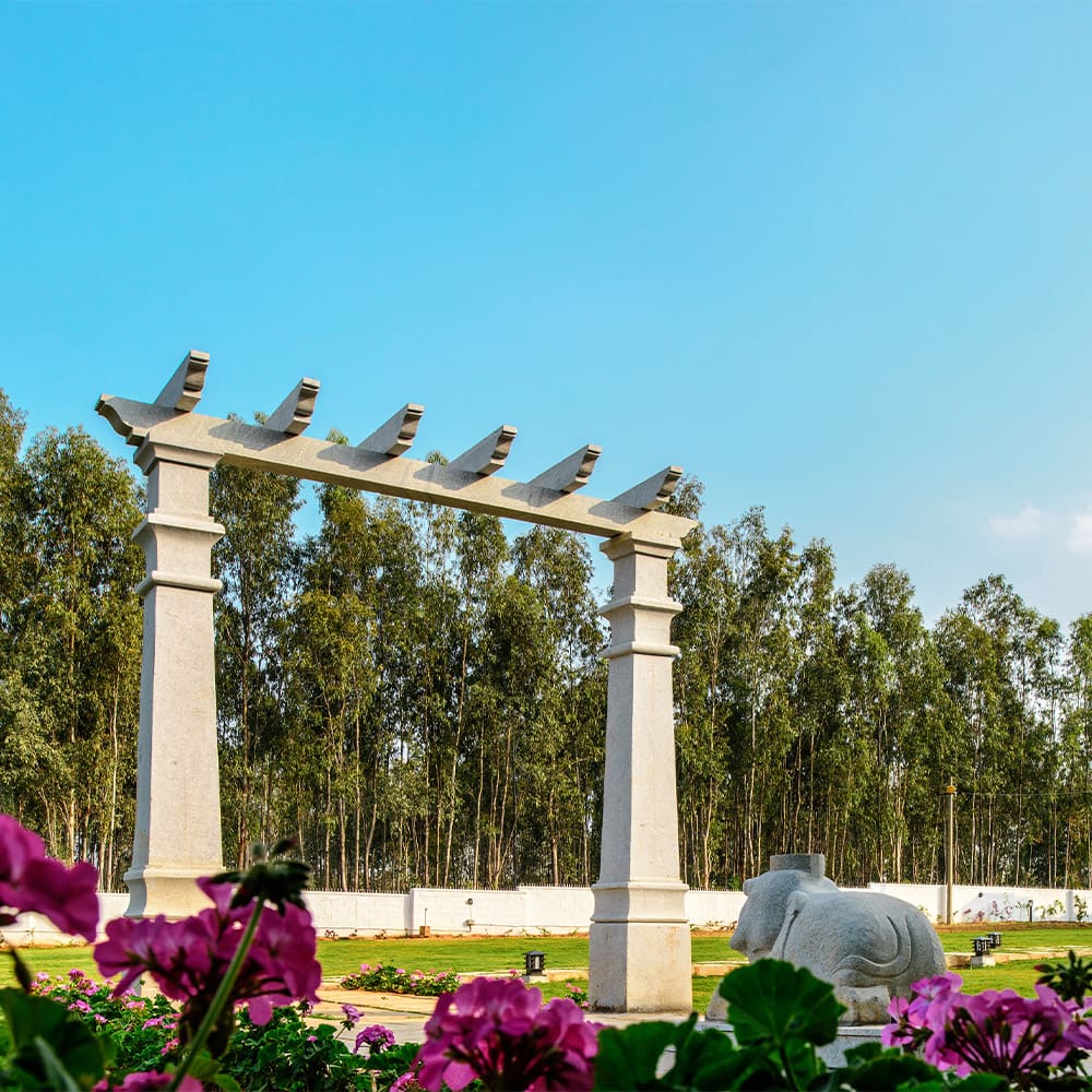 The white pergola gateway framed by bougainvillea
