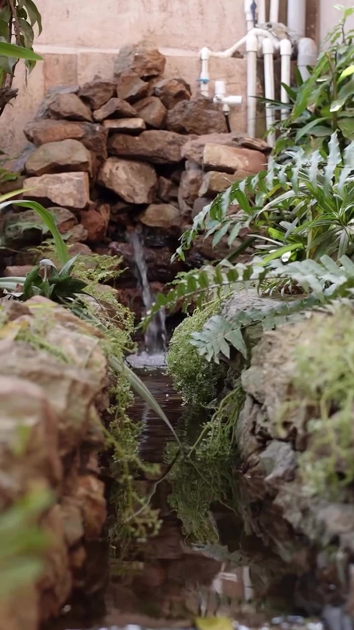 A rock-and-fern wall inside the restaurant