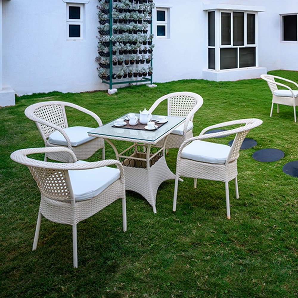 White garden chairs set on the Tea Talk lawn