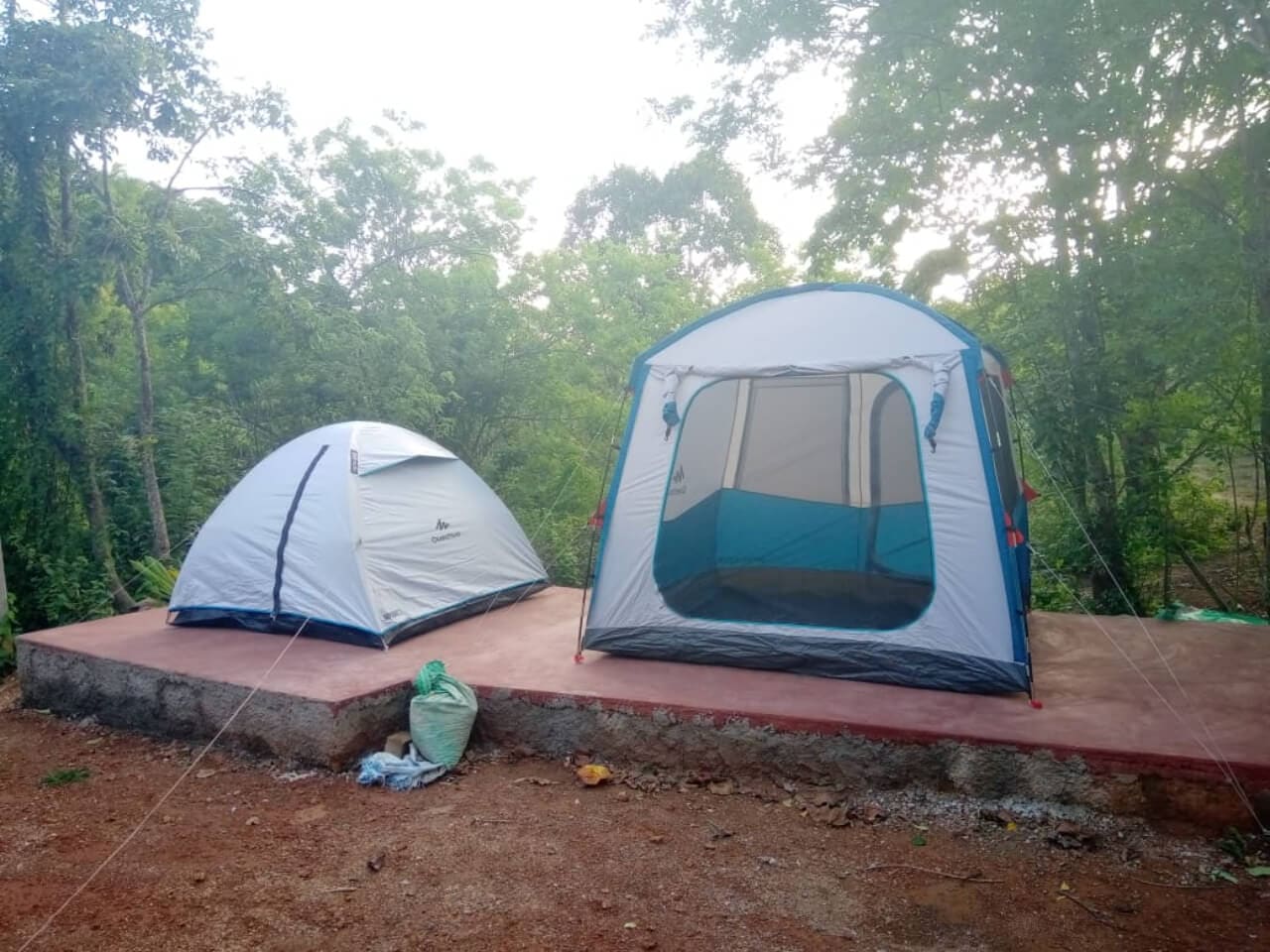 Two tents on a deck at the edge of the forest