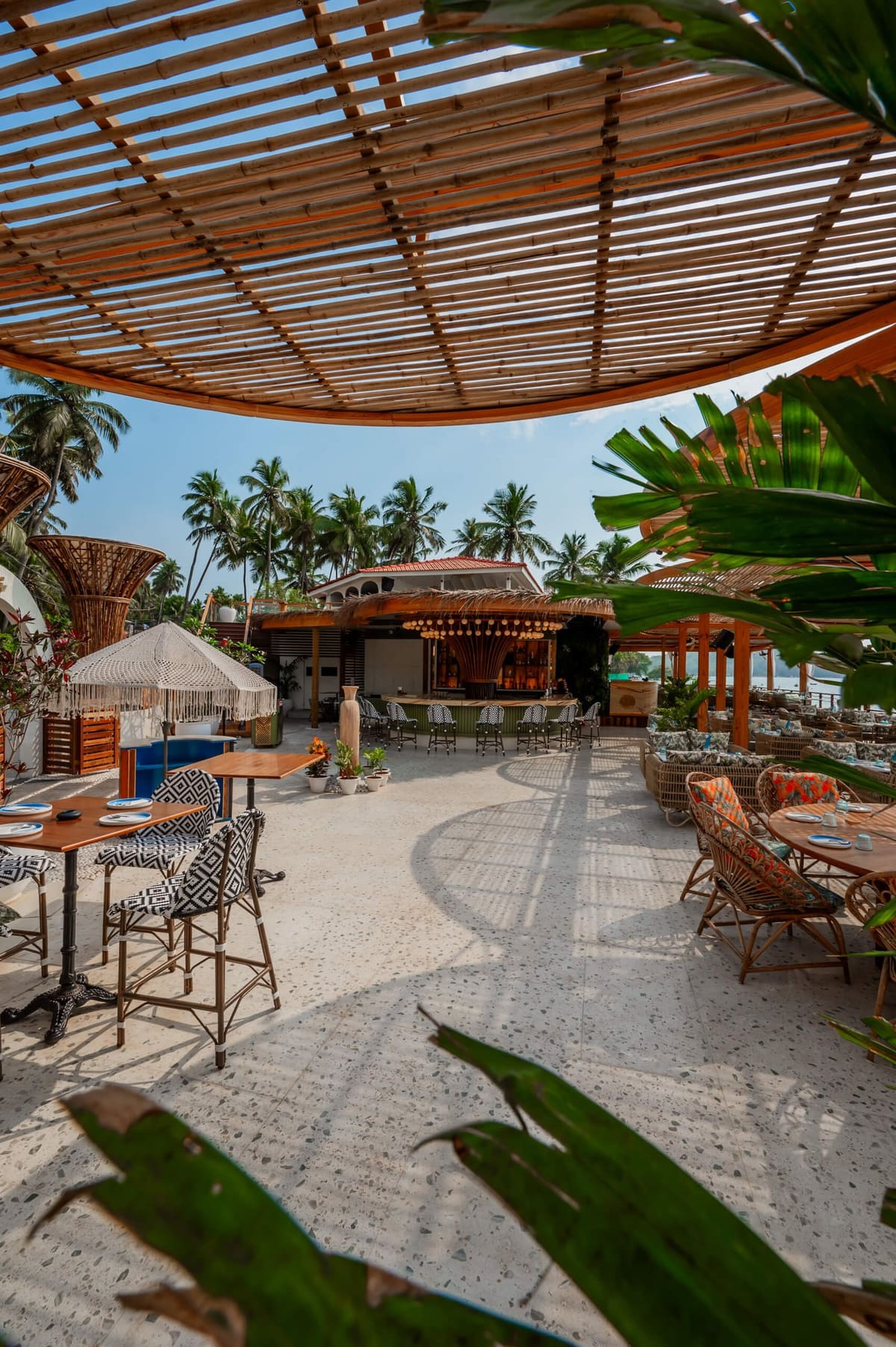 The shaded deck with palms and the pool beyond