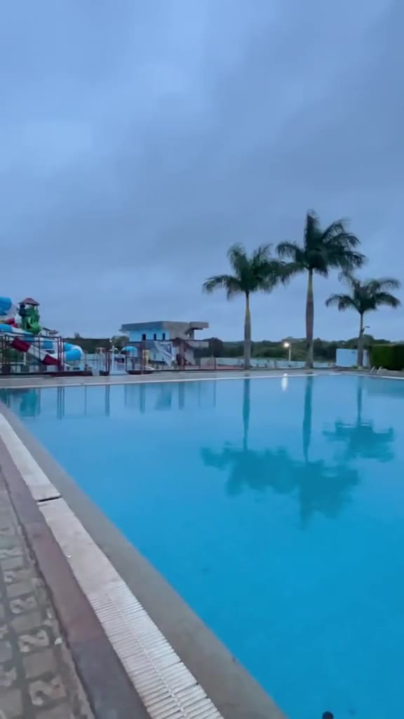 The big pool under palm trees on a bright day
