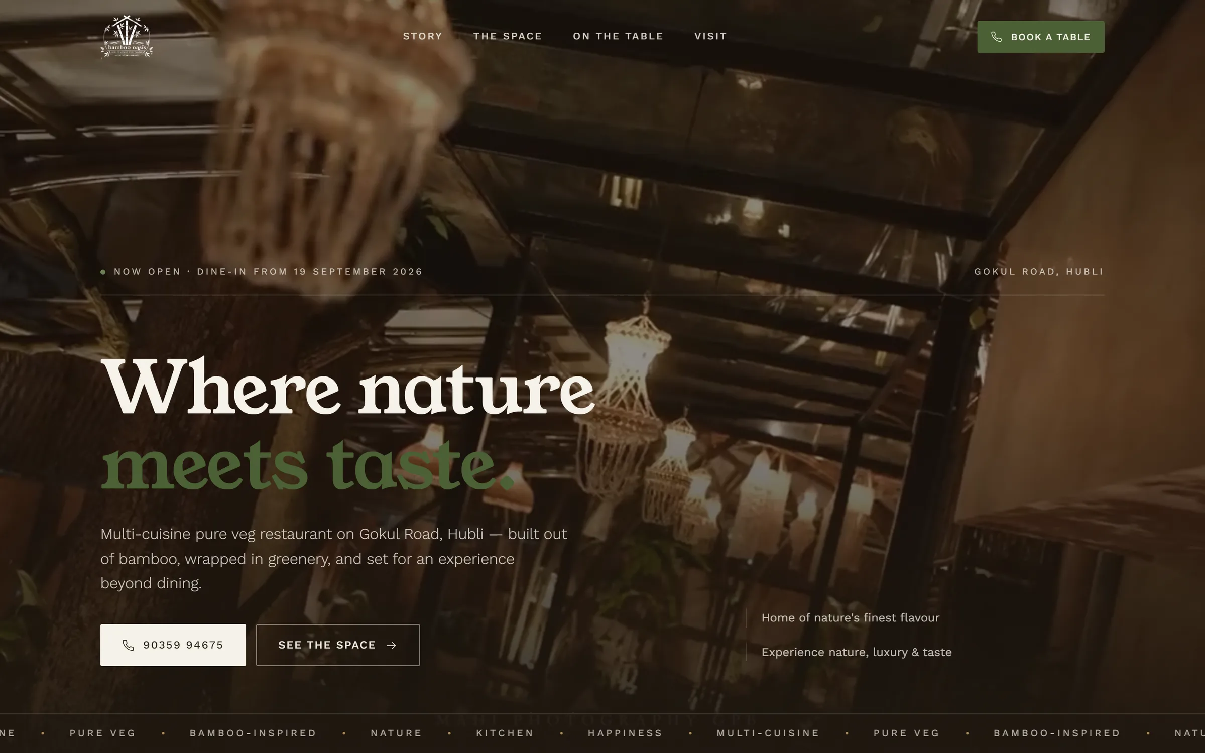The Bamboo Oasis website on desktop